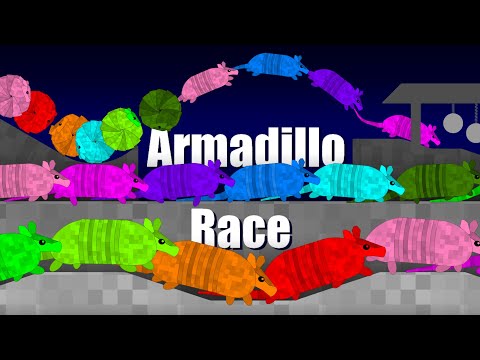 Armadillo Race - Marble Race in Algodoo