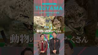【6月更新!ウエストランドの地元津山市毒舌PRプロジェクト　ふしぎなものいろいろ。こんなに展示していいの!?「つやま自然のふしぎ館」#Short】