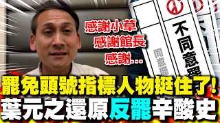 罷免頭號指標人物挺住了! 葉元之還原"反罷"辛酸史:感謝小草.感謝館長