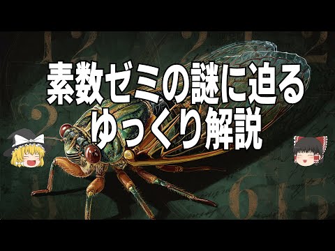素数ゼミの謎に迫る【ゆっくり解説】