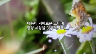아름다운 봄의 풍경과 명상시