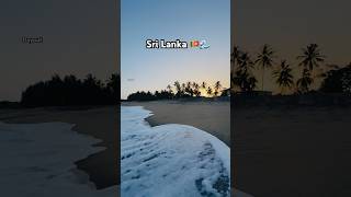 Sri Lanka Beach Time 🌊🇱🇰 #srilanka #beach #sunset #ceylon #dayout #peaceful #relax