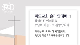 씨드교회 주일 예배 (2부) | 생방송 | 2025.7.20