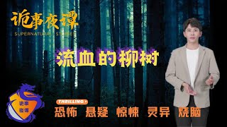 【诡事夜谭】流血的柳树 | 鬼故事 | 灵异诡谈 | 恐怖故事 | 解压故事 | 网友讲述的灵异故事