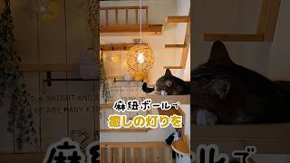【簡単DIY】紐を変えれば雰囲気も変わるライト#shorts  #100均 #麻紐 #diy #コットンボール  #癒し