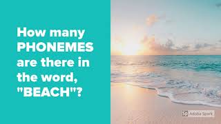 Morphemes and phonemes