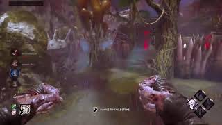 Doad The Toad live stream