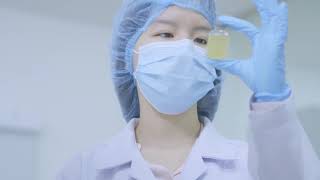 SPC GROUP KOREA & THAILAND