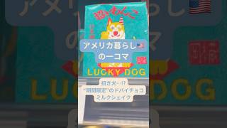 “招き犬の酒”と“謎のドバイチョコ”ミルクシェイク #国際結婚の日常 #アラサー国際結婚 #アメリカ生活 #日常vlog #ワシントンdc
