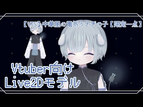 【VTS】中華風電気うさぎの子【限定一点】