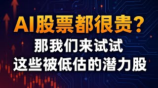 AI股票都很贵？那我们来试试这些被低估的潜力股！