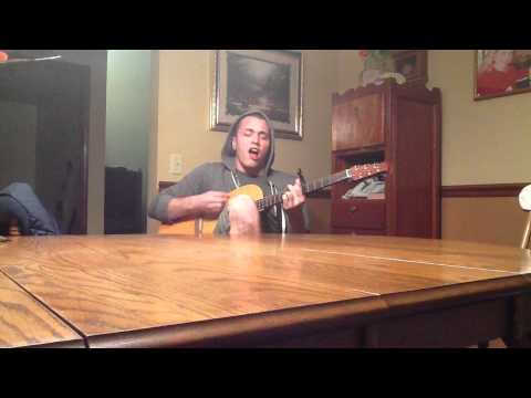 Michael Rinks "Blue Ridge Mountains" Fleet Foxes cover