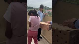 වී කුරුල්ලන් නිදහස සොයා ගියා - අද දවස ඇරඹූ ආකාරය #DeepLearn Coaching #CoachDileepa