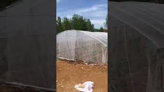 Garden Fine Mesh Insect Netting Knotless 50 Mesh Plastic Anti Insect Net