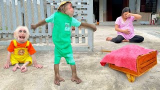 CUTIS & baby monkey secretly did something completely unimaginable that pregnant Mom cry😯