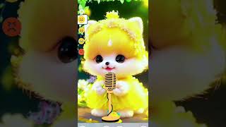 Muhammad Nabina | cute cat nat | cute