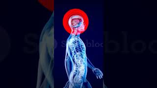 Telophase and Cytokinesis! CELL DIVISION! How long is cell division? #facts #cell #amazingfacts #4k