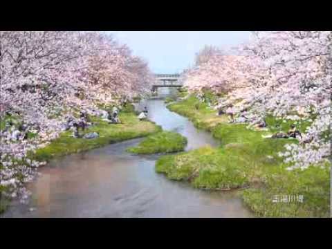松江観光映像春編