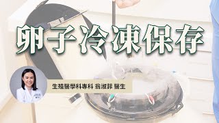 【香港卵子冷凍保存 (凍卵/雪卵) 步驟】幾歲雪卵是最佳時機？｜什麼時候才可以用冷藏卵子？｜生殖醫學科專科 翁淑菲醫生－希愈生殖醫學中心 HEAL Fertility