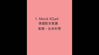 德國DAX指數 績優股 德國股票 德國股市  歐股 歐洲股票  德國投資 德國指數 DAX40指數 被低估股票 價值股 成長股  投資組合  持股 選股 價值投資 長期投資 #投資 #股票 #股市