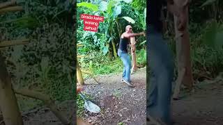 Naunsa Bah #youtubevideo #viralvideo #trendingshorts #shorts #youtubeshorts