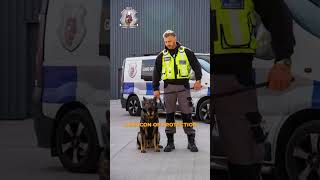 Defending London's Opulent Estates - GDS #k9security #london #security #securitysolutions