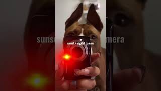 Is the KODAK PIXPRO FZ55 Worth It? Full Review & Sample Footage #kodakxtol #kodaktmax #kodak #viral