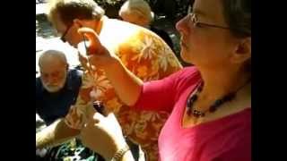 Gretchen shaking dissolved oxygen to purple