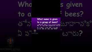 quiz 53 #learning #sciencequestionsandanswers #sciencequizwithanswers #quiz #quizgames #quiztime