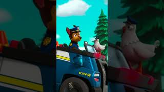 团队合作就是一切 #PAWPatrol #Shorts 兒童卡通