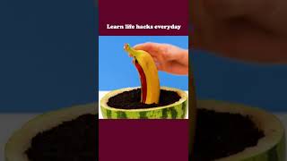 (CLICK THE LINK IN THE DESCRIPTION) WATCH TILL THE END #LIFEHACKS #LIFETIPS #LIFETRICKS #TIPSTRICKS