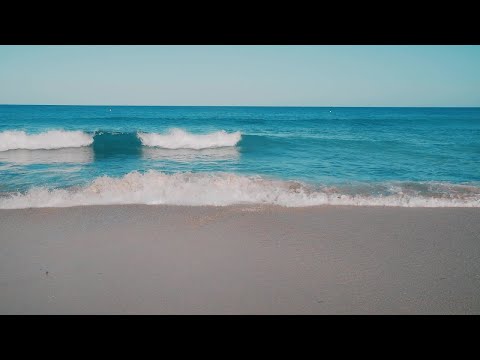 Chill Sunny Summers Day  │ Relaxing Lo -fi Music