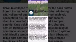 Collapsing Toolbar Layout in Android | Free Source Code | Android Studio Tutorial #shorts #android