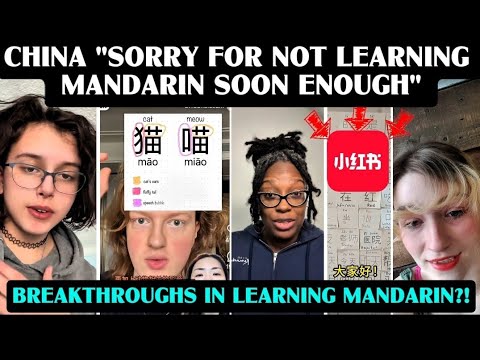 AMERICAN APOLOGISES FOR NOT LEARNING MANDARIN SOON ENOUGH|BREAKTHROUGHS IN CHINESE LANGUAGE REDNOTE