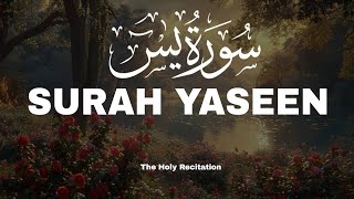 Surah Yaseen  for Healing | Relieve Stress, Depression & Anxiety | سورة يس |