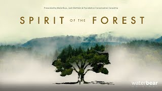 Spirit of the Forest | WaterBear Original | Trailer