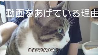 改めまして 私の病気 慢性骨髄性白血病についてと今の状態