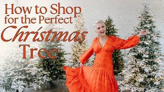 Christmas Tree Shop | My Top 5 Favorite Trees | How to Shop for the Perfect Christmas Tree