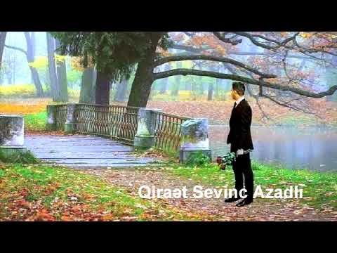 BƏLKƏ.Müəllif: Arzu Tahirqızı. Qiraət: Sevinc Azadlı.