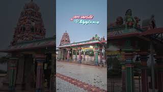 Exploring the Beauty of Temple Photography: Capturing Timeless Moments 📸✨