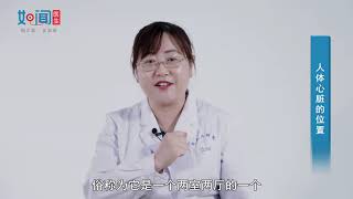 【心内科】人体心脏的位置