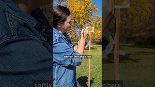 Why I Always Film the Process #pleinairillusion #maketime #artprocess