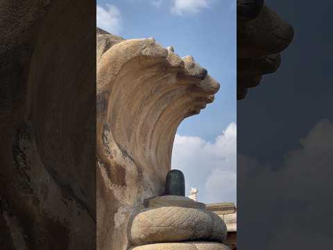 Lepakshi Naga Linga , Sculpted around 16th Century #unesco #india #amazingfacts