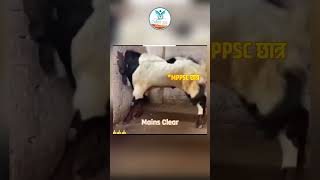MPPSC Selection Process | GOAT