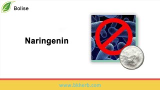 Buy Naringenin Cas 480-41-1 Supply & Manufacturer from Grapefruit