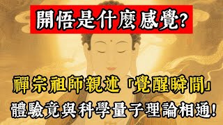 開悟是什麼感覺？禪宗祖師親述「覺醒瞬間」，體驗竟與科學量子理論相通！#佛學 #佛教 #佛說阿彌陀經 #佛說
