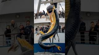 Sea creatures Attack