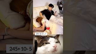 #tiktok #viralcat #catfunny