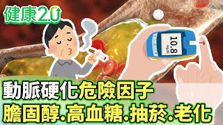 動脈硬化危險因子 膽固醇過高.高血糖.抽菸.老化【健康2.0 分段】@tvbshealth20  EP3029-2  20250524 #鄭凱云#楊智鈞#蕭敦仁#劉怡里#陸巧因