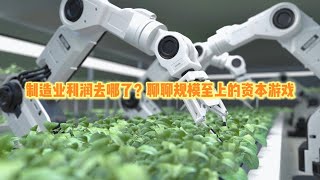 制造业利润去哪了？规模至上的隐秘资本游戏